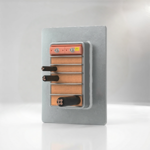 E-RGSF System